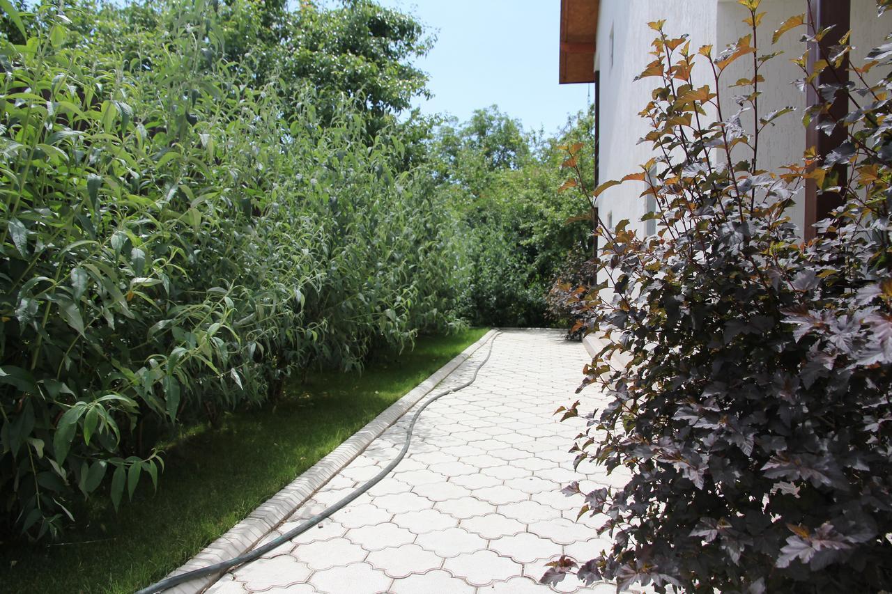 Guest House Leto Dolinka Exterior photo