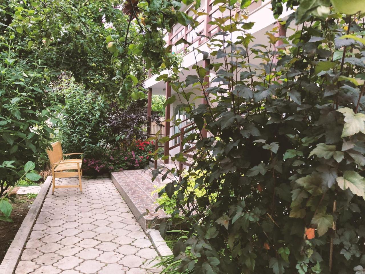 Guest House Leto Dolinka Exterior photo